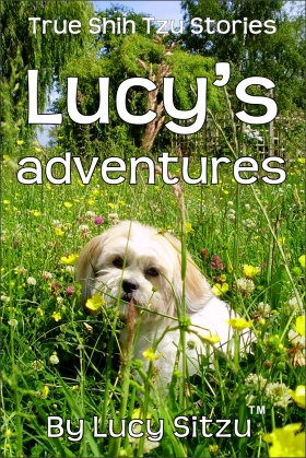 True Shih Tzu Stories - Lucy's Adventures - By Lucy Sitzu (tm)