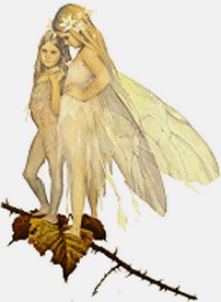 Childrens Stories Leaf Fairy