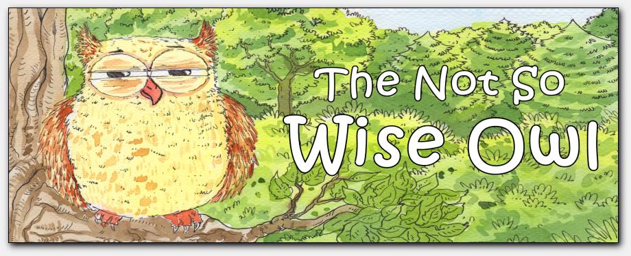 The Not So Wise Owl - Rhyming Children's Story